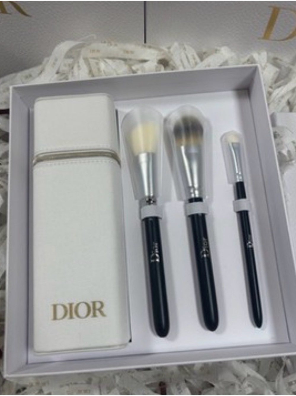 Dior Backstage Set of 3 Brushes & Case NWT